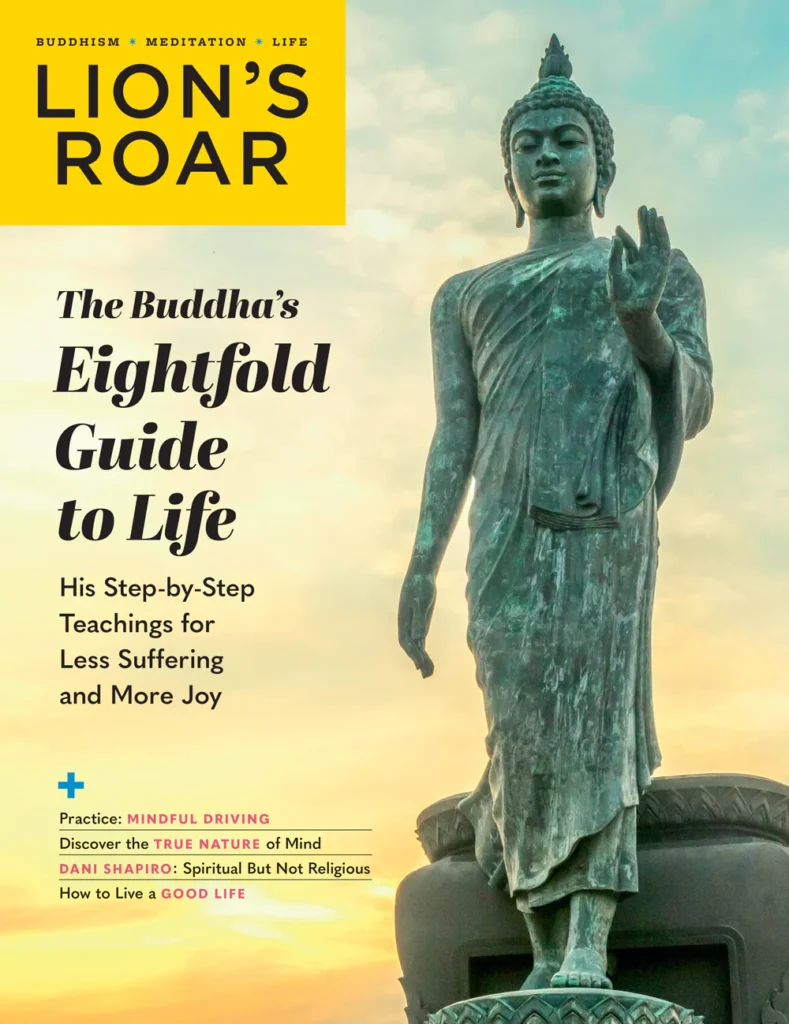 Cover of lion's roar magazine. One of the best buddhist magazines in print