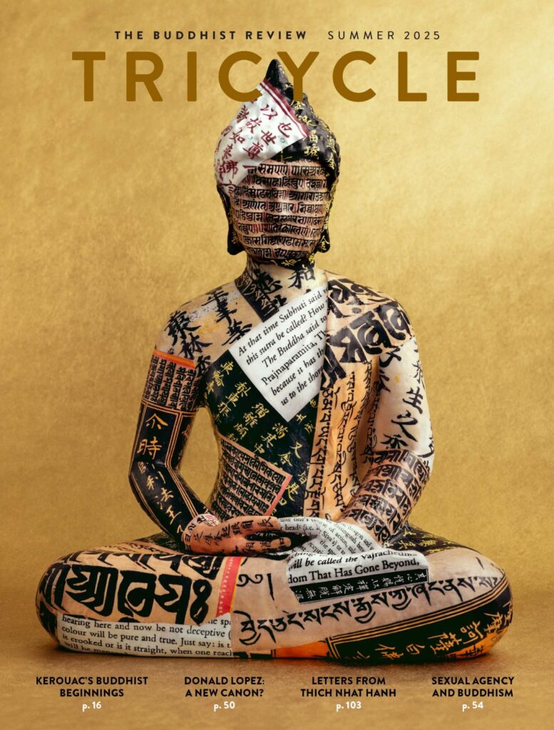 The cover of Tricycle magazines print subscription