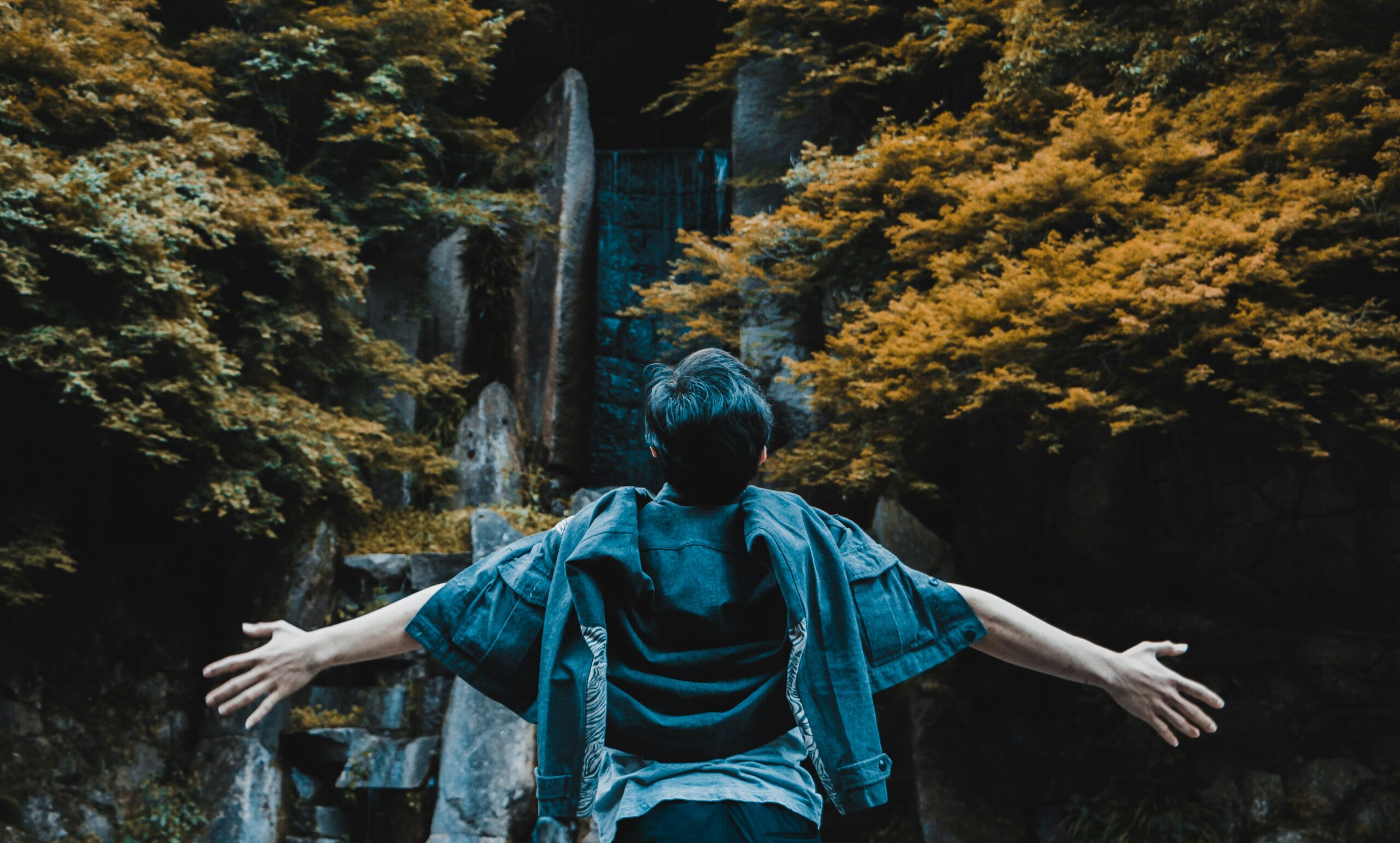 Forest Bathing: The modern version of Shinrin-yoku